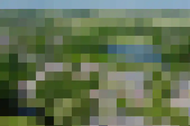 Slijperij 19 Alkmaar thumbnail 4