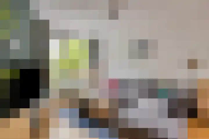 Slijperij 20 Alkmaar thumbnail 12