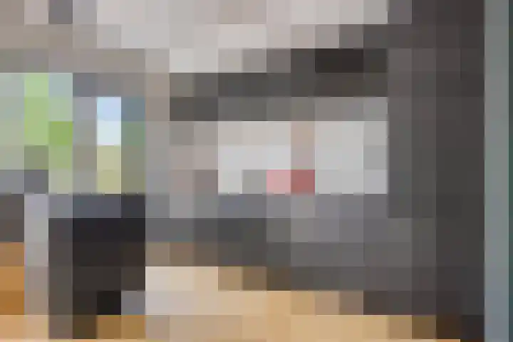 Slijperij 20 Alkmaar thumbnail 17