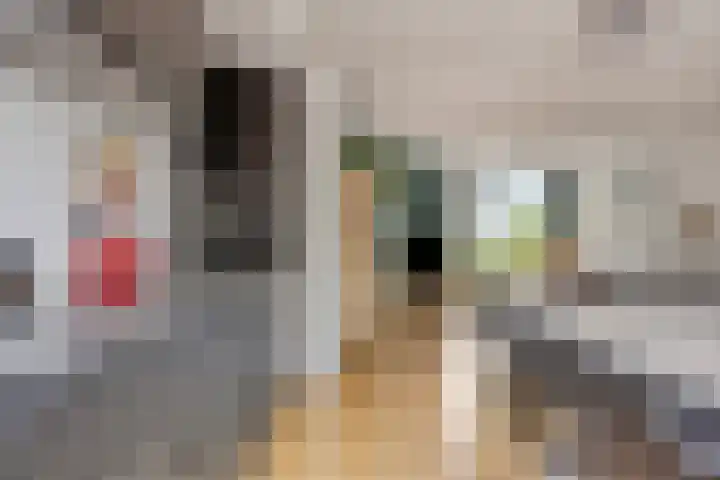 Slijperij 20 Alkmaar thumbnail 19