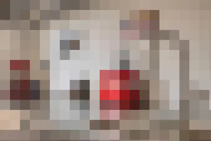 Slijperij 20 Alkmaar thumbnail 20