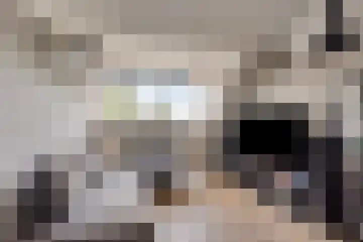 Slijperij 20 Alkmaar thumbnail 33