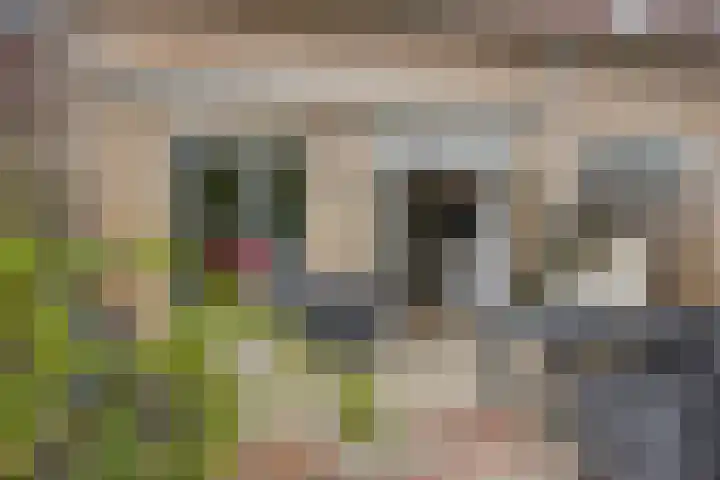 Slijperij 20 Alkmaar thumbnail 39