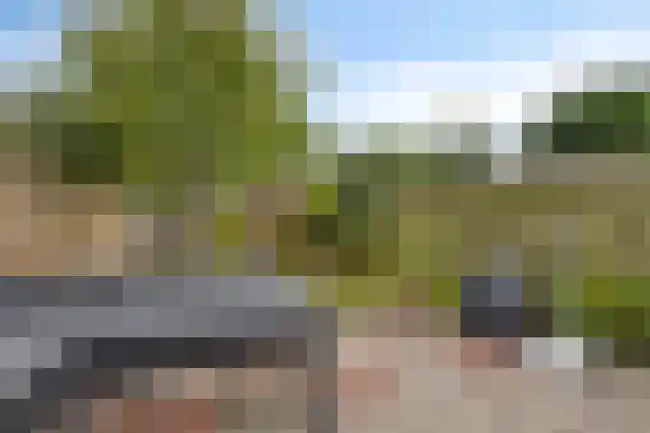 Slijperij 20 Alkmaar thumbnail 40