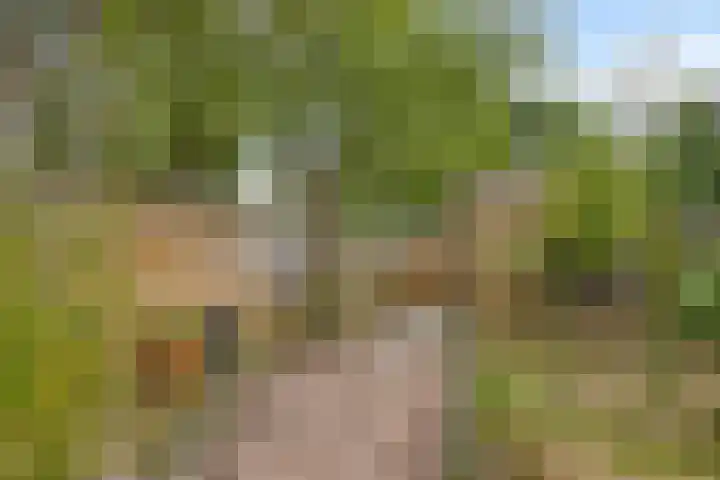 Slijperij 20 Alkmaar thumbnail 41