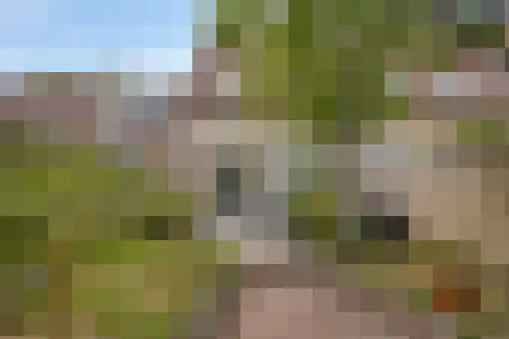 Slijperij 20 Alkmaar thumbnail 42