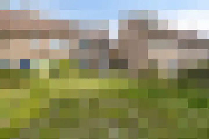 Slijperij 20 Alkmaar thumbnail 7