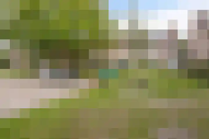 Slijperij 20 Alkmaar thumbnail 8
