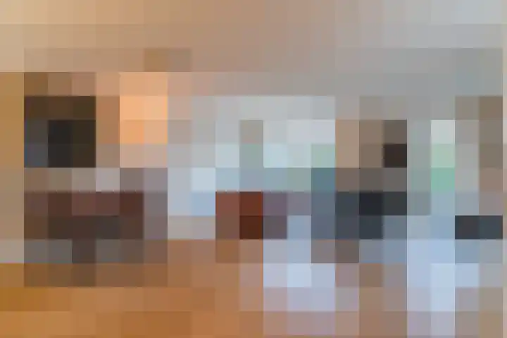 Slijperijhof 29 Oosterhout thumbnail 4