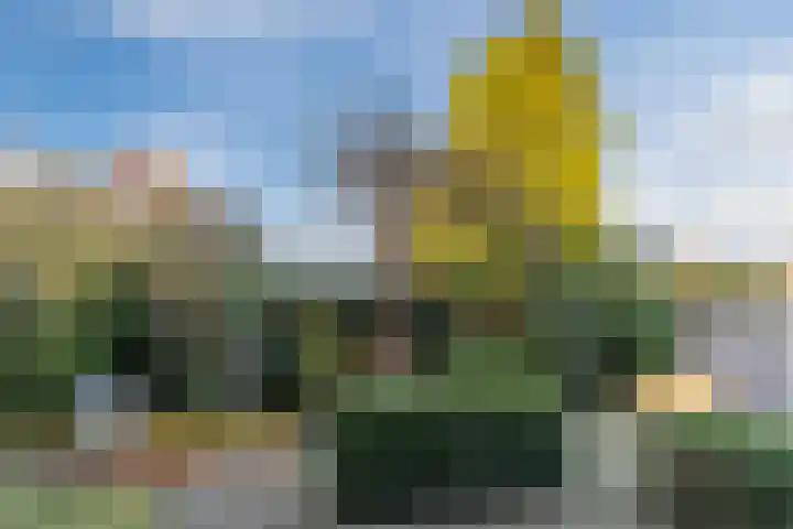 Slijperijhof 29 Oosterhout thumbnail 42