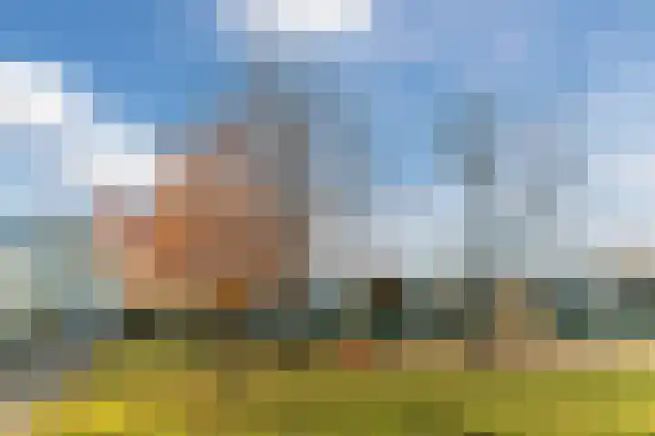 Slijperijhof 29 Oosterhout thumbnail 48
