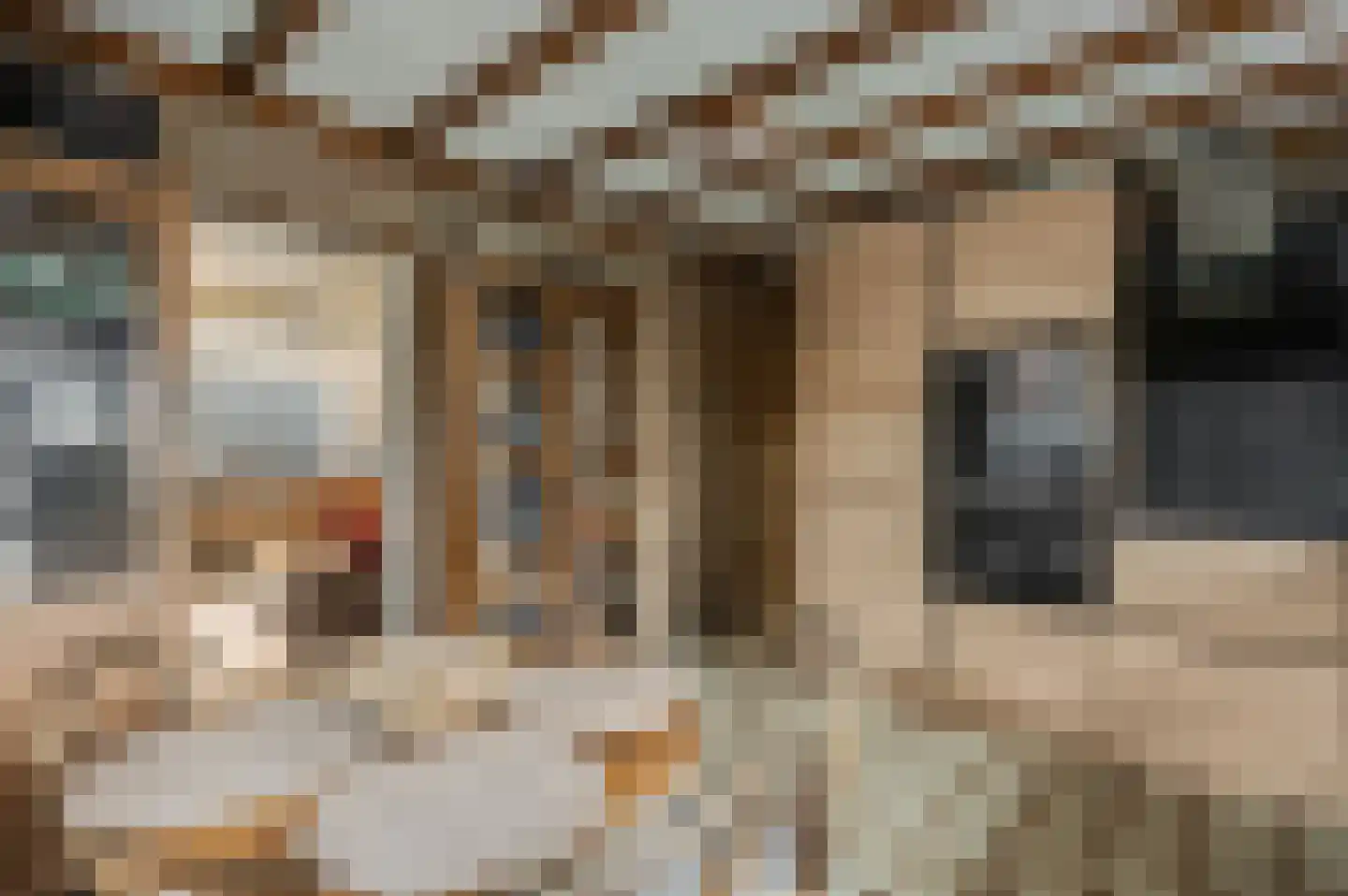 Slijpkruikweg 24 Ede thumbnail 11