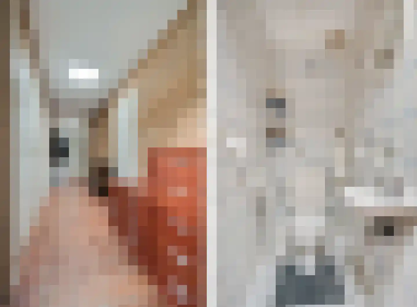 Slijpkruikweg 24 Ede thumbnail 18