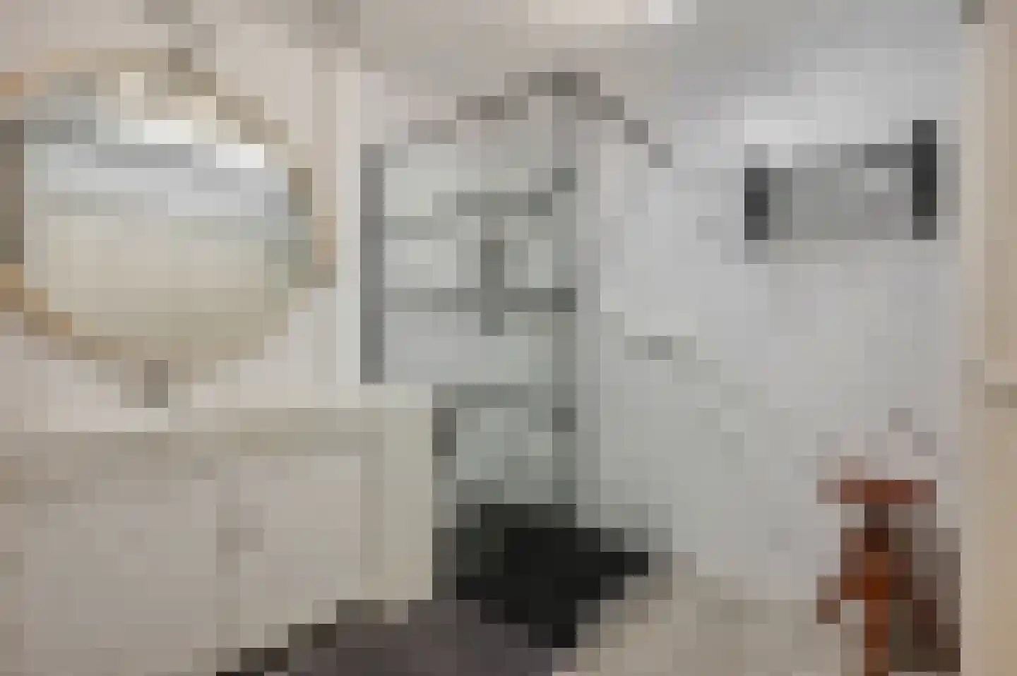 Slijpkruikweg 24 Ede thumbnail 19