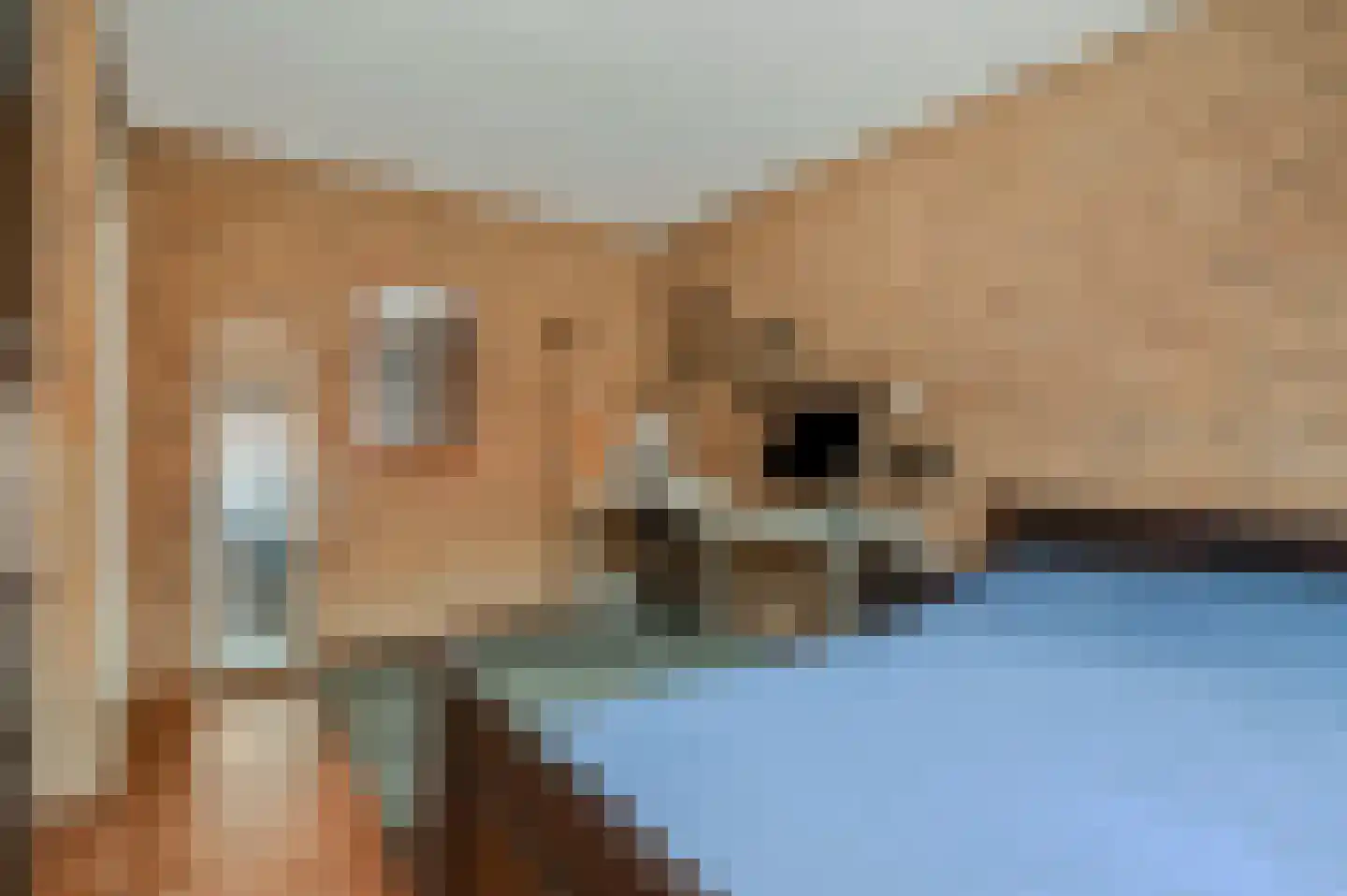 Slijpkruikweg 24 Ede thumbnail 22