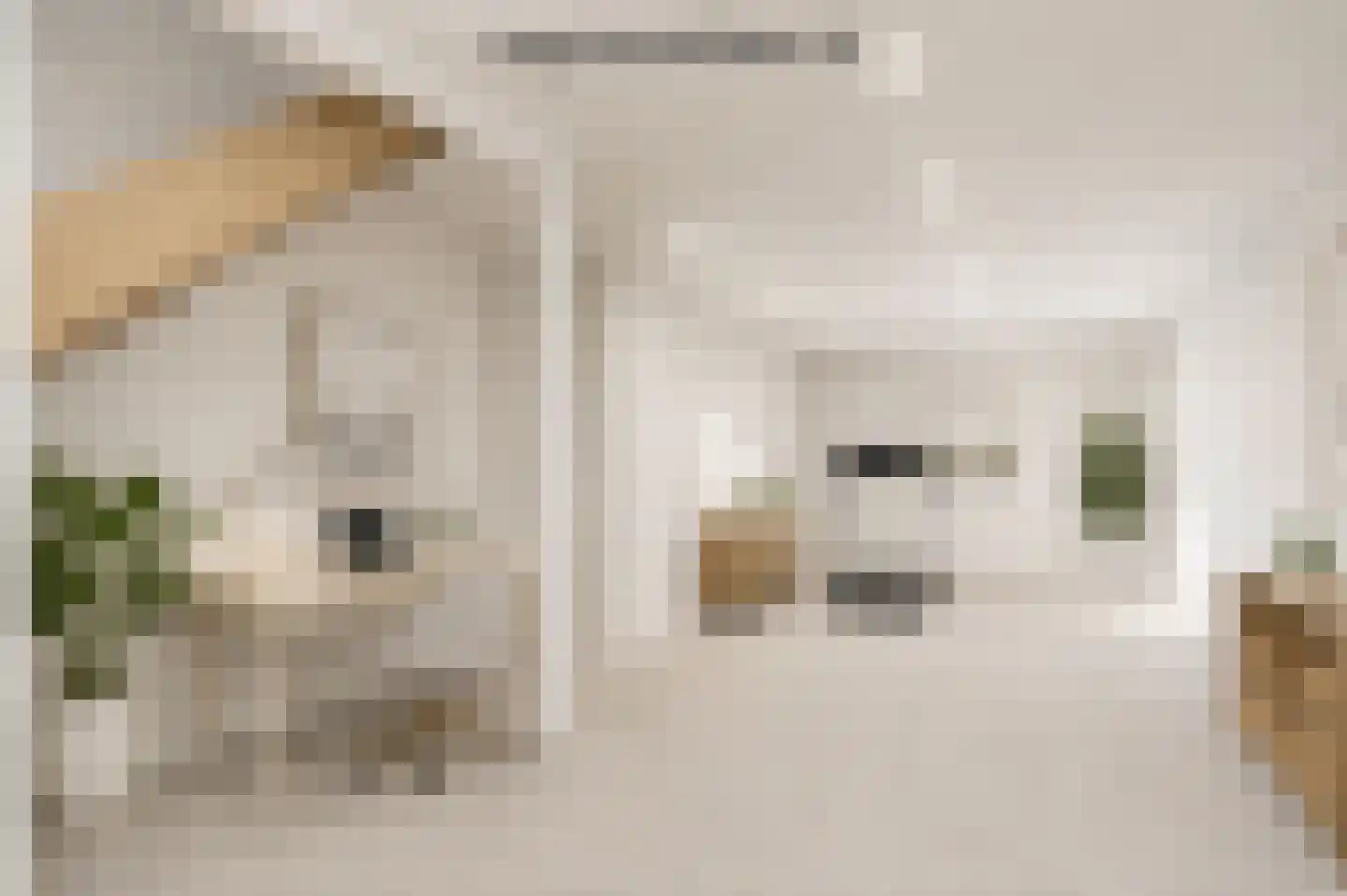Slijpkruikweg 24 Ede thumbnail 24
