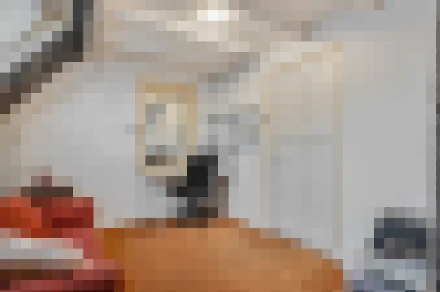 Slijpkruikweg 24 Ede thumbnail 33