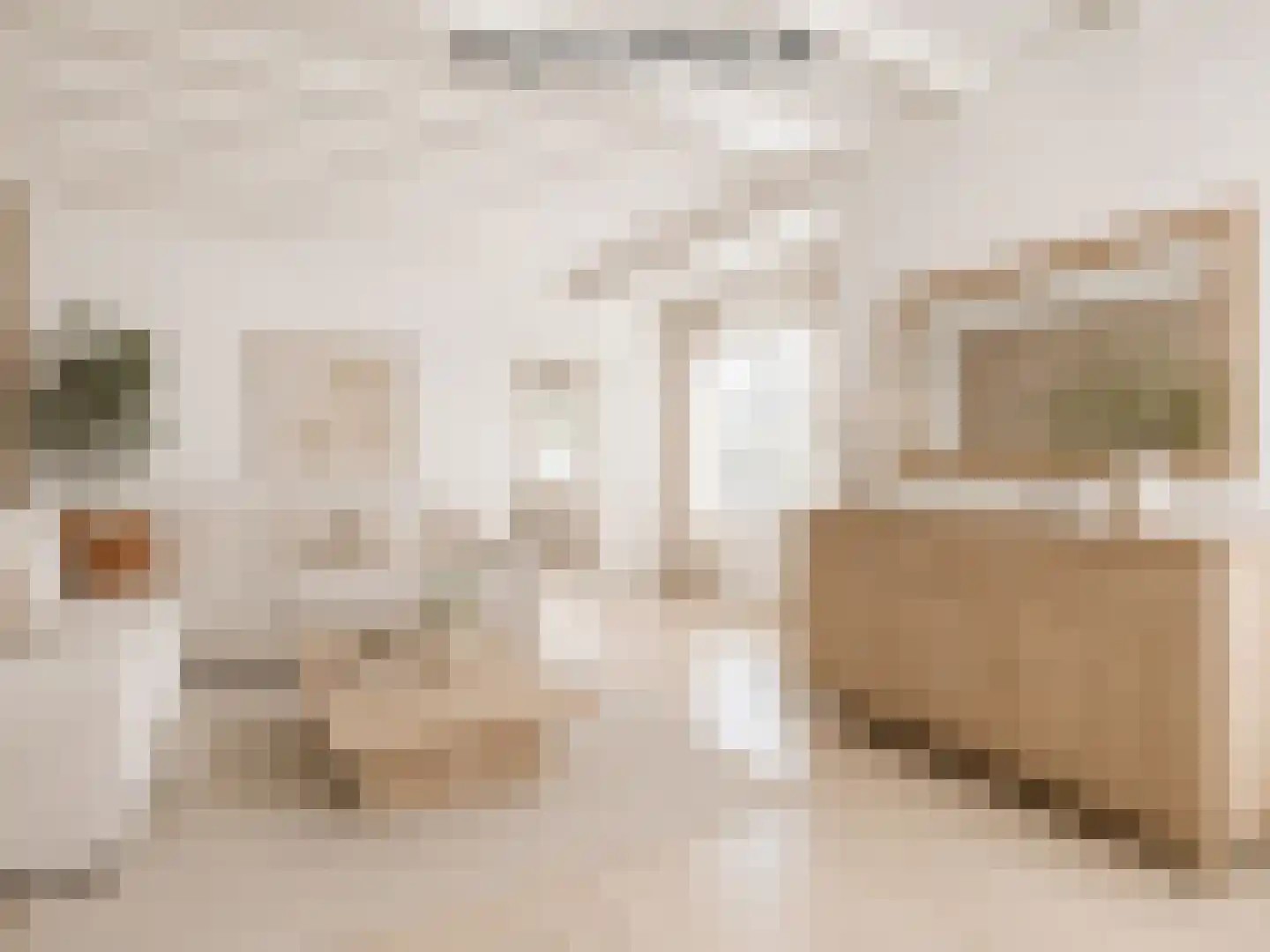 Slijpkruikweg 24 Ede thumbnail 4