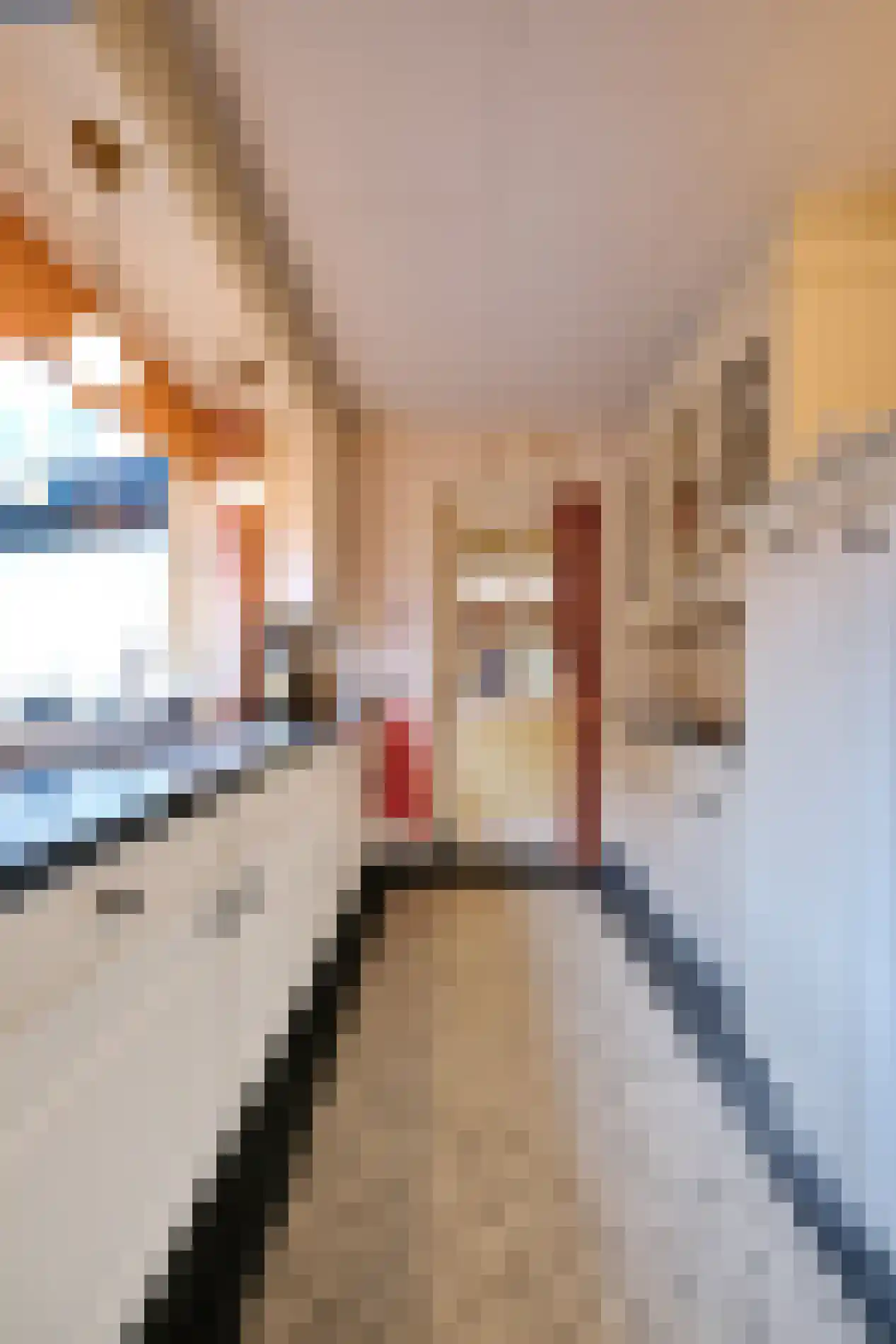 Slijpkruikweg 28 Ede thumbnail 10