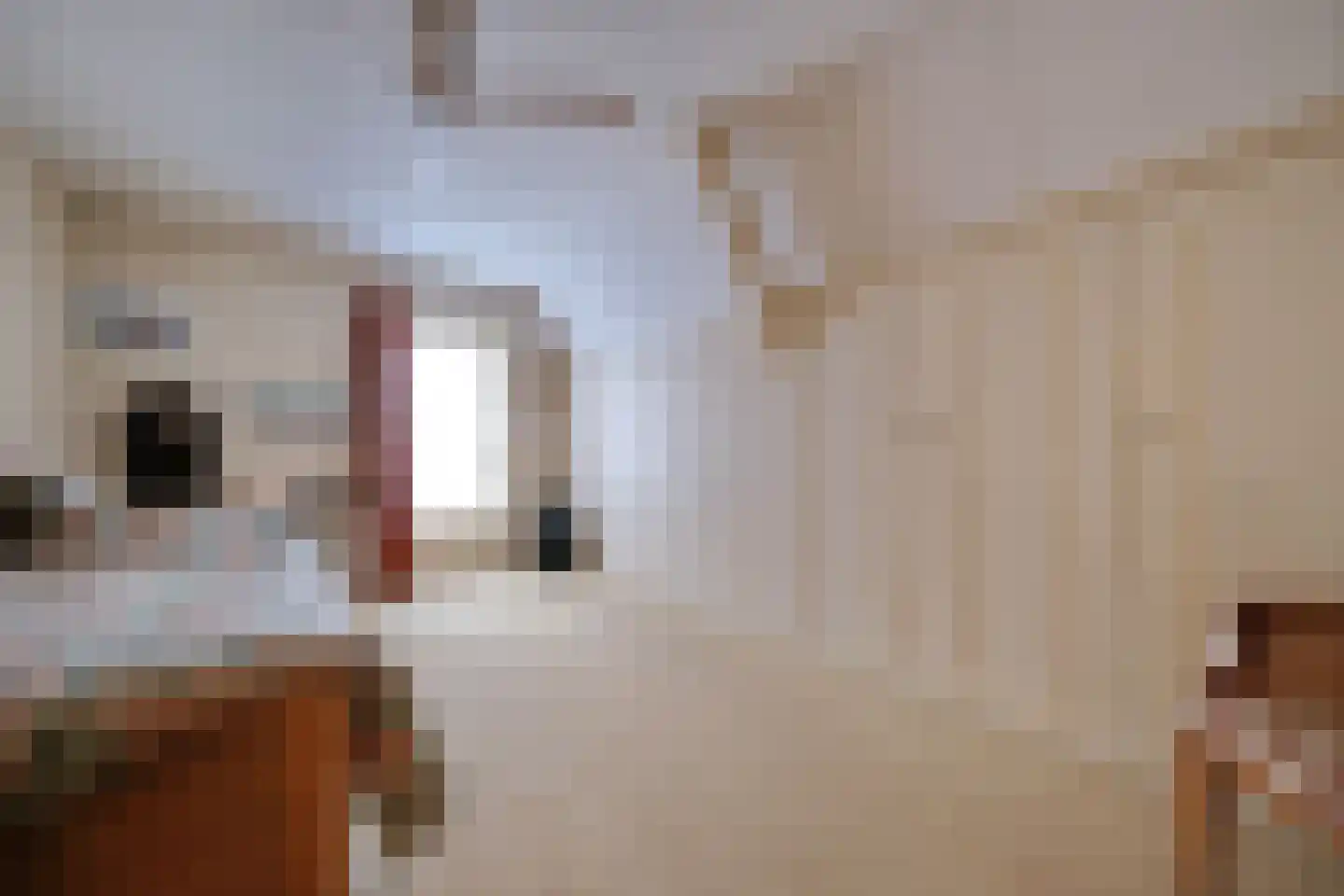 Slijpkruikweg 28 Ede thumbnail 14
