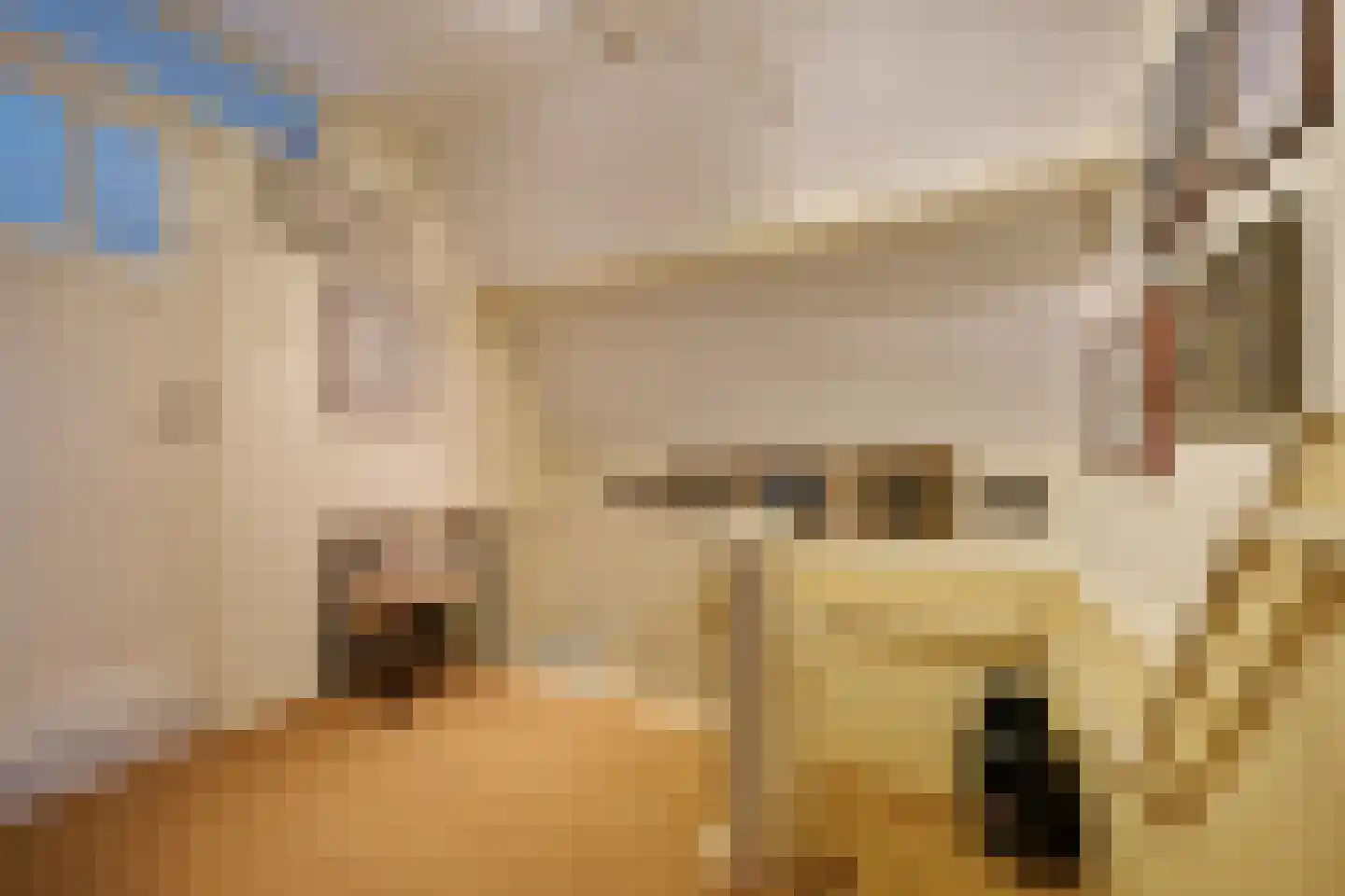 Slijpkruikweg 28 Ede thumbnail 20