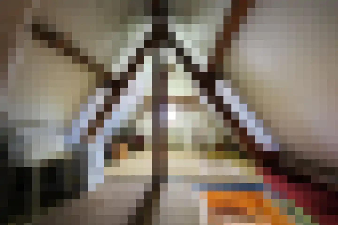 Slijpkruikweg 28 Ede thumbnail 21