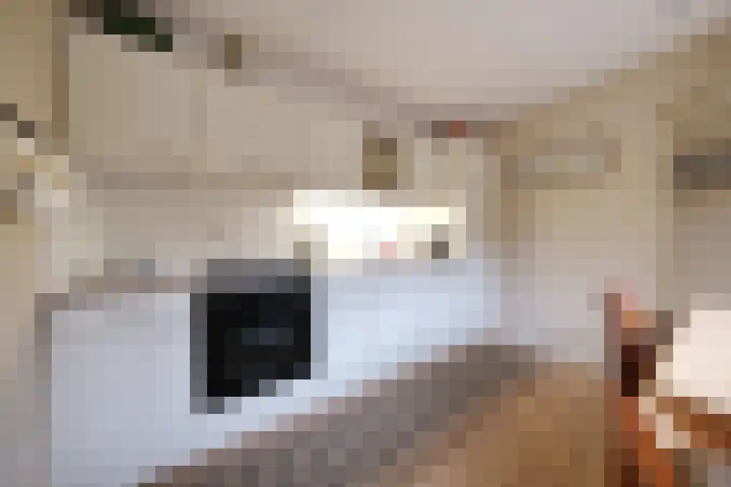 Slijpkruikweg 28 Ede thumbnail 26