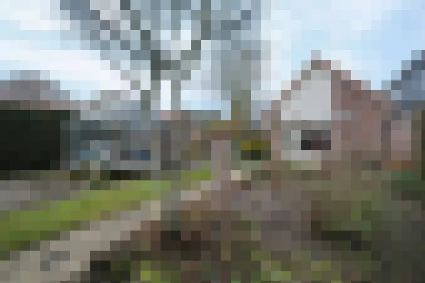 Slijpkruikweg 28 Ede thumbnail 4