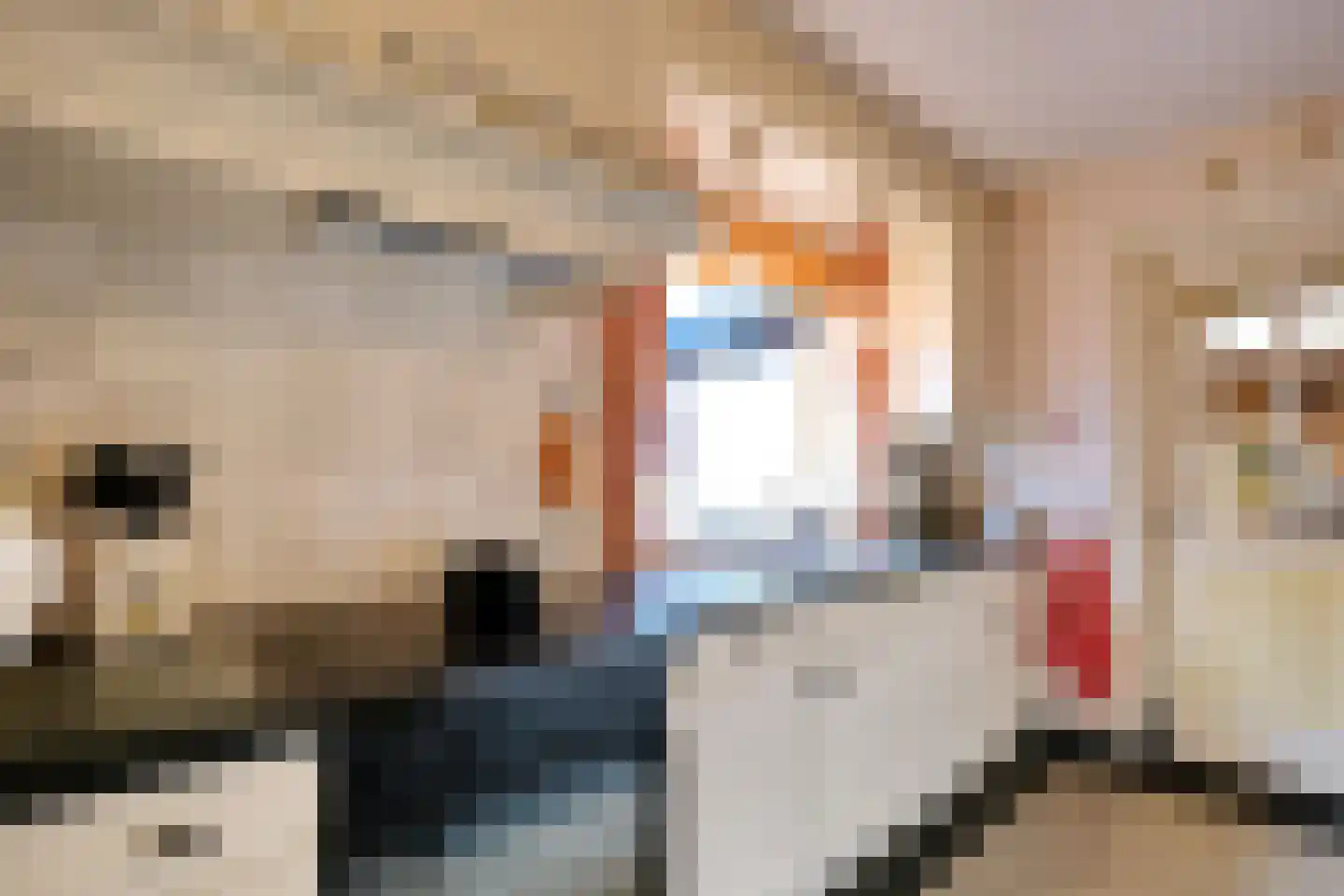 Slijpkruikweg 28 Ede thumbnail 9