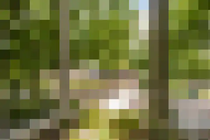 Slijpkruikweg 45 Ede thumbnail 22