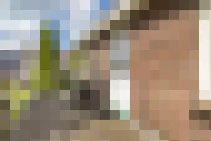 Slijpkruikweg 45 Ede thumbnail 31
