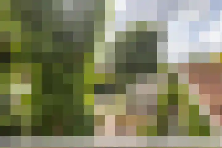 Slijpkruikweg 45 Ede thumbnail 32