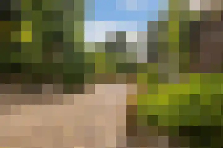 Slijpkruikweg 45 Ede thumbnail 38