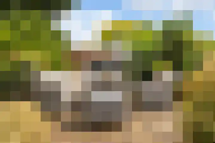 Slijpkruikweg 45 Ede thumbnail 39