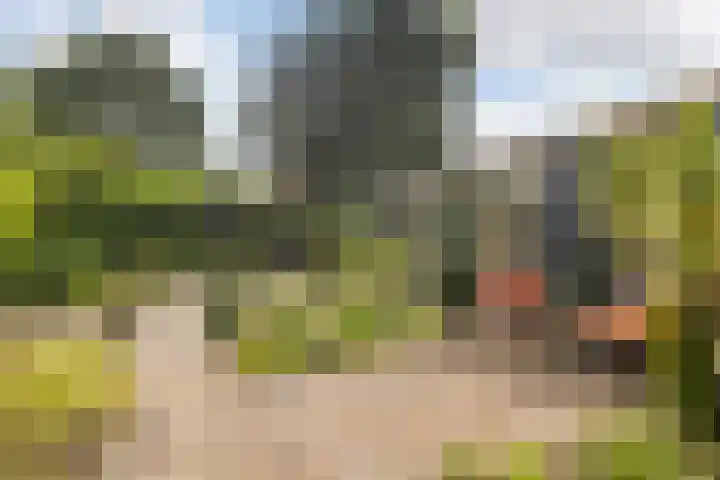 Slijpkruikweg 45 Ede thumbnail 40