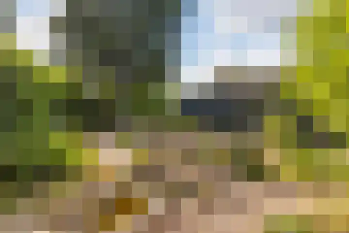 Slijpkruikweg 45 Ede thumbnail 41