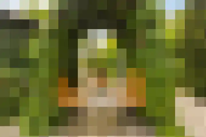 Slijpkruikweg 45 Ede thumbnail 43