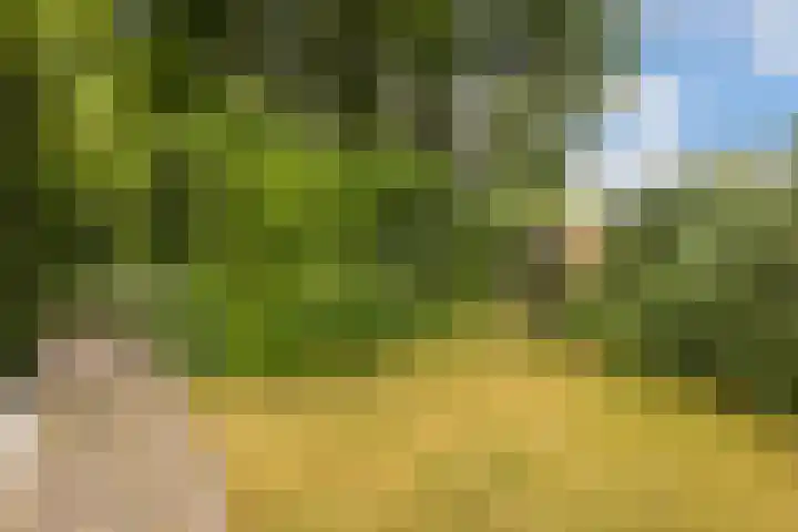 Slijpkruikweg 45 Ede thumbnail 44