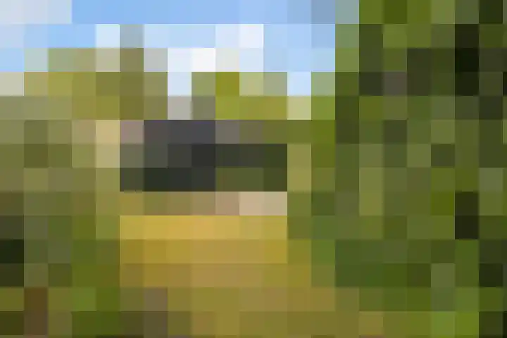 Slijpkruikweg 45 Ede thumbnail 45