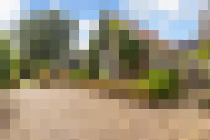 Slijpkruikweg 45 Ede thumbnail 47