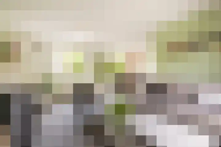 Slijpkruikweg 45 Ede thumbnail 53