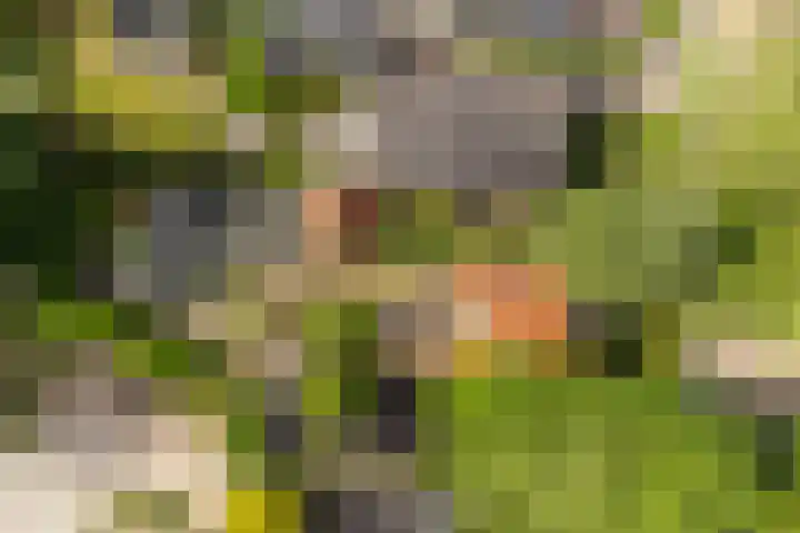 Slijpkruikweg 45 Ede thumbnail 61
