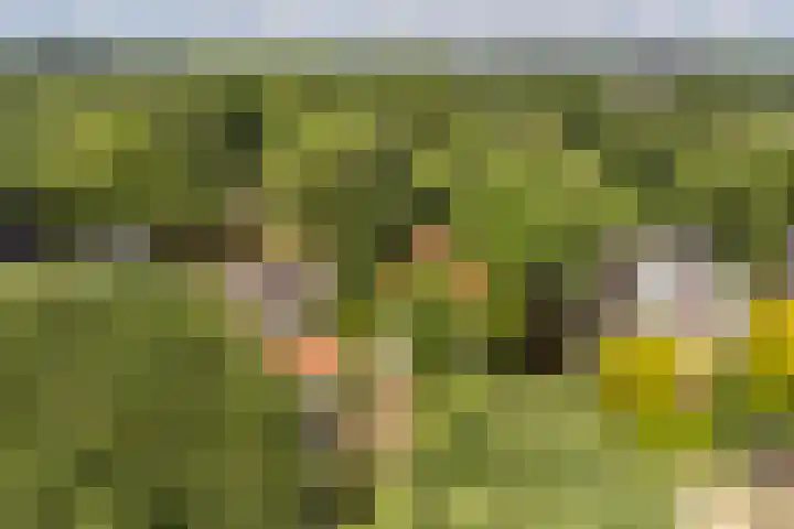 Slijpkruikweg 45 Ede thumbnail 63