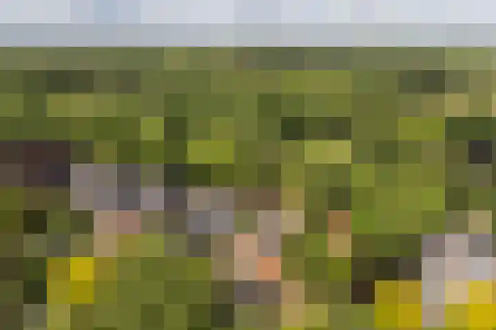 Slijpkruikweg 45 Ede thumbnail 64