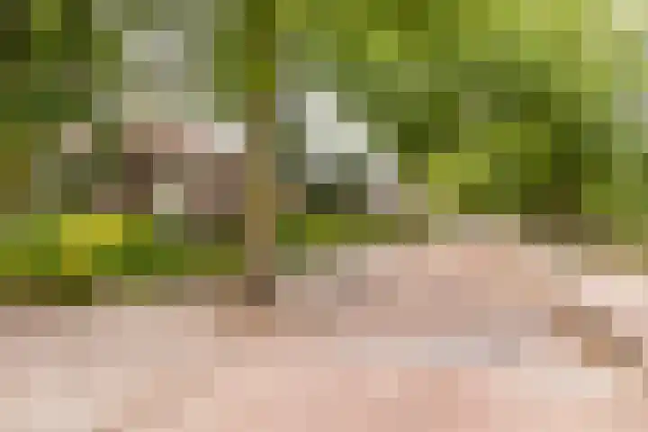 Slijpkruikweg 45 Ede thumbnail 65