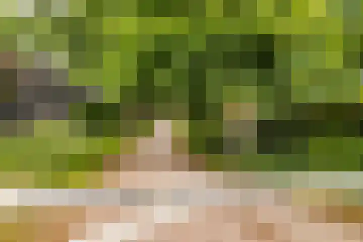 Slijpkruikweg 45 Ede thumbnail 66