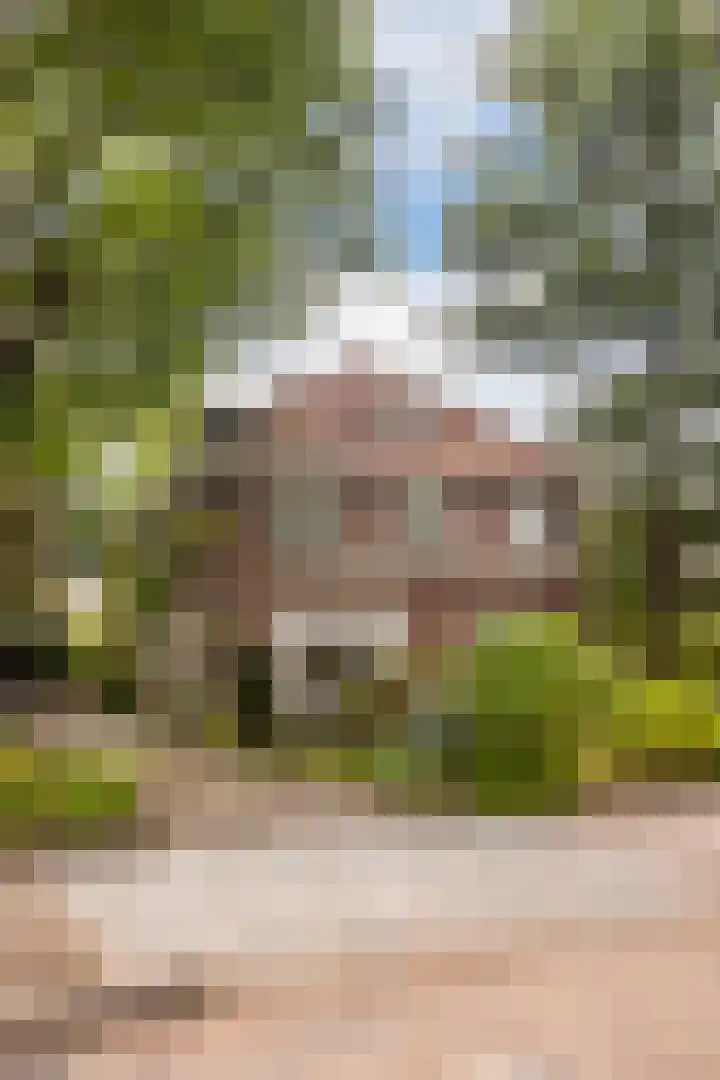 Slijpkruikweg 45 Ede thumbnail 68