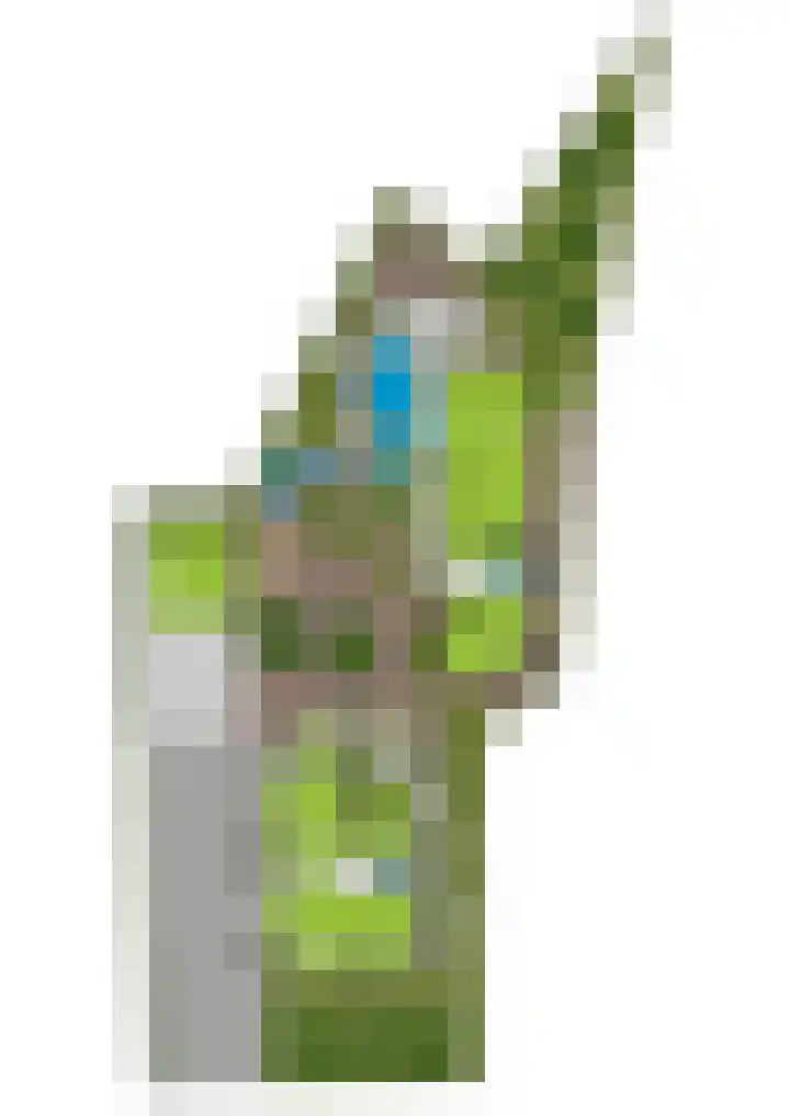 Slijpkruikweg 45 Ede thumbnail 76