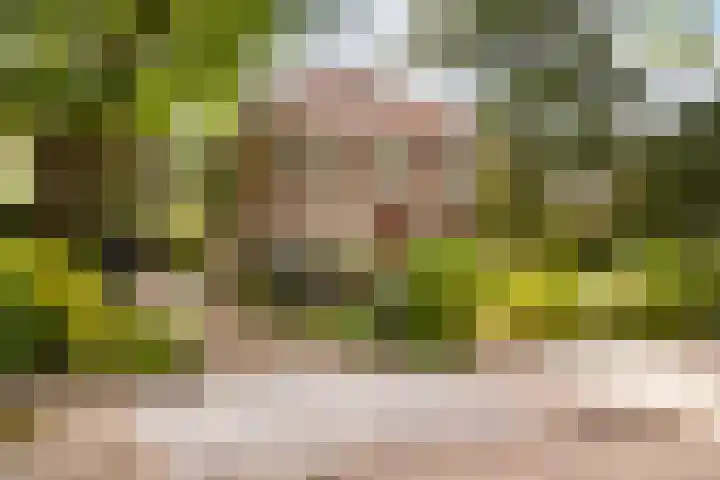Slijpkruikweg 45 Ede thumbnail 77