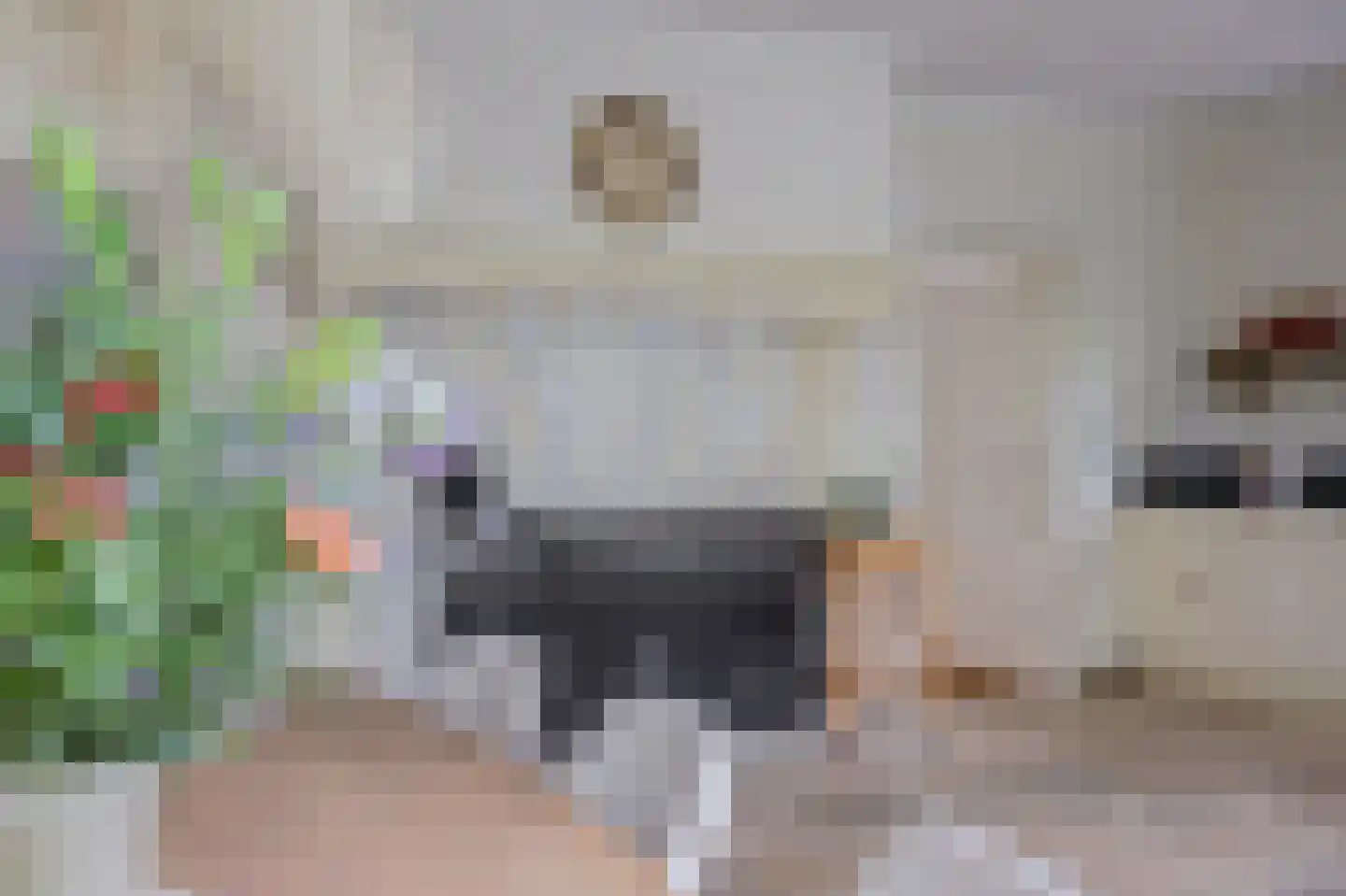 Slijpkruikweg 53 Ede thumbnail 18